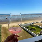 Avec Vue Et Accès Appartement Arcachon